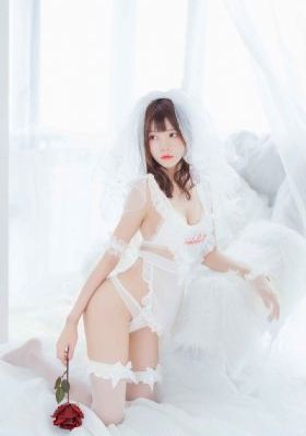 风月锦囊电视剧免费观看剧情