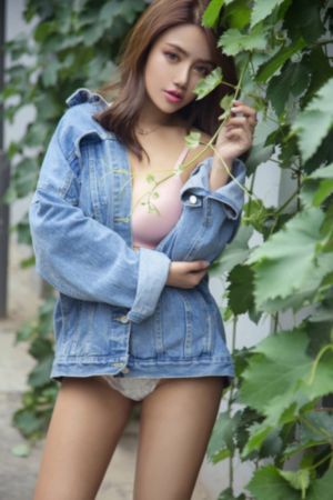 我的黑帮大佬第2季免费播