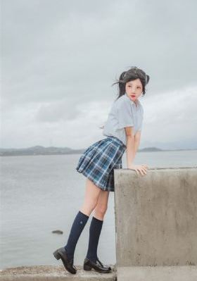 少帅 电视剧